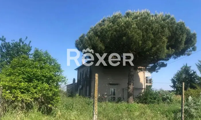 Rexer-Ceregnano-Propriet-rustica-in-vendita-in-Via-Don-Minzoni-a-Ceregnano-Altro