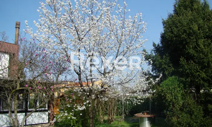 Rexer-Casier-Vendita-villa-con-piscina-come-nuda-propriet-Giardino
