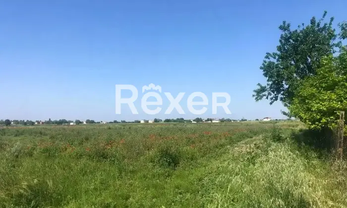 Rexer-Ceregnano-Immobile-in-vendita-in-Via-Don-Minzoni-a-Ceregnano-Altro