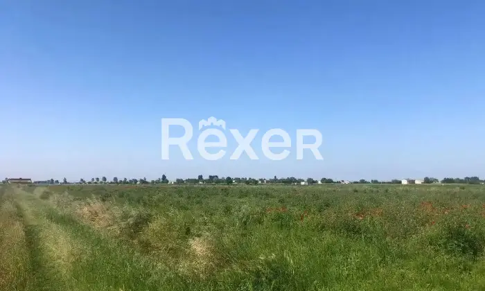 Rexer-Ceregnano-Immobile-in-vendita-in-Via-Don-Minzoni-a-Ceregnano-Altro