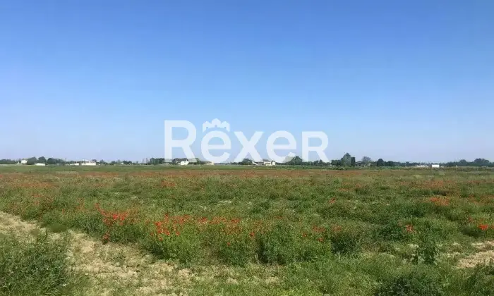 Rexer-Ceregnano-Immobile-in-vendita-in-Via-Don-Minzoni-a-Ceregnano-Altro