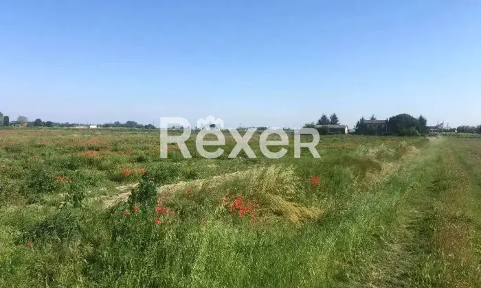Rexer-Ceregnano-Immobile-in-vendita-in-Via-Don-Minzoni-a-Ceregnano-Altro