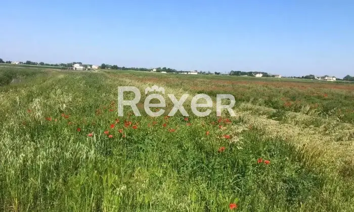 Rexer-Ceregnano-Immobile-in-vendita-in-Via-Don-Minzoni-a-Ceregnano-Altro