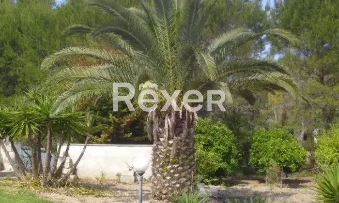 Rexer-Otranto-Vendesi-Tenuta-di-mq-con-Villa-di-mq-Giardino