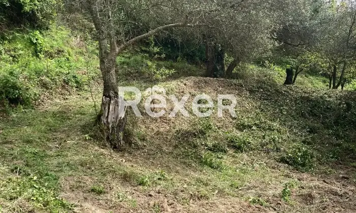 Rexer-Teano-Casa-indipendente-con-terreno-di-pertinenza-Fontanelle-frazione-di-Teano-Altro
