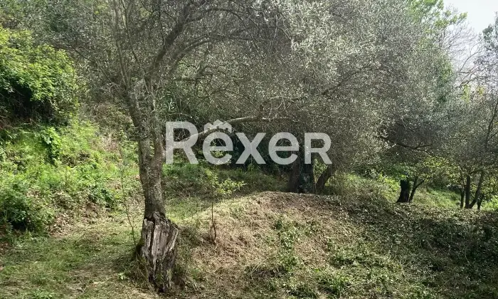 Rexer-Teano-Casa-indipendente-con-terreno-di-pertinenza-Fontanelle-frazione-di-Teano-Altro
