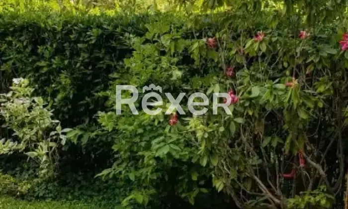 Rexer-Lazise-Monolocale-in-vendita-a-Lazise-Residence-La-Casara-Altro