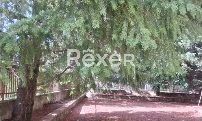 Rexer-CoriglianoRossano-Villa-indipendente-su-due-livelli-con-ampio-giardino-e-garage-Altro