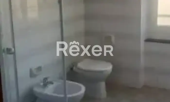 Rexer-Genova-vani-liberi-molassa-fossato-cicala-Genova-Bagno