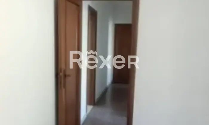 Rexer-Genova-vani-liberi-molassa-fossato-cicala-Genova-Altro