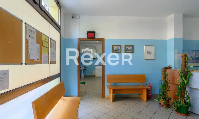 Rexer-Padova-Ambulatorio-medicoNegozio-Altro