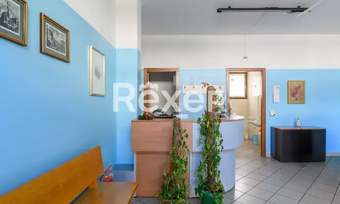 Rexer-Padova-Ambulatorio-medicoNegozio-Altro