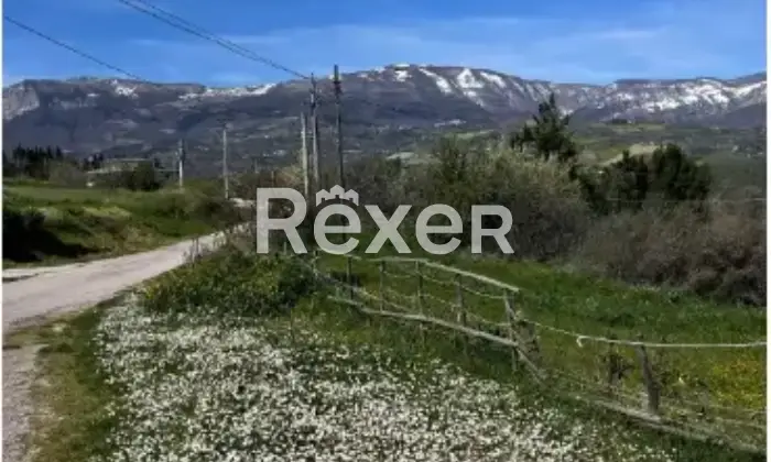 Rexer-Cugnoli-Propriet-rustica-in-vendita-in-Contrada-S-Pietro-a-Cugnoli-Altro