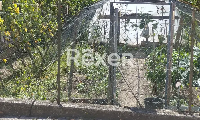 Rexer-San-Gregorio-nelle-Alpi-Nuda-propriet-in-vendita-in-Localit-Fumach-a-San-Gregorio-nelle-Alpi-Altro