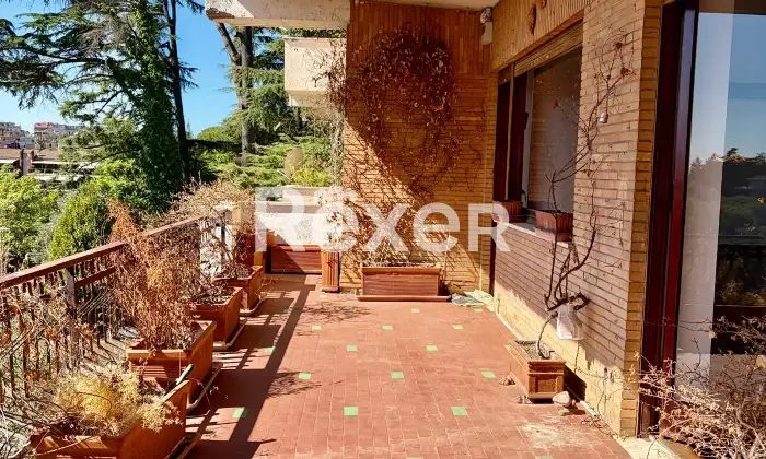 Rexer-Roma-Via-Rocca-di-Mezzo-Roma-Zona-Cortina-dAmpezzo-Altro