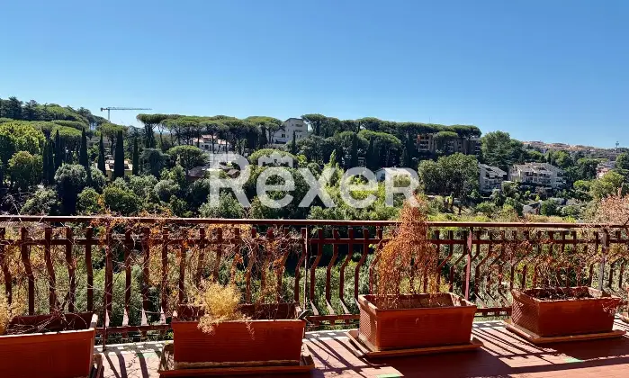 Rexer-Roma-Via-Rocca-di-Mezzo-Roma-Zona-Cortina-dAmpezzo-Altro