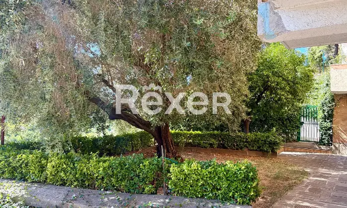 Rexer-Roma-Via-Rocca-di-Mezzo-Roma-Zona-Cortina-dAmpezzo-Altro