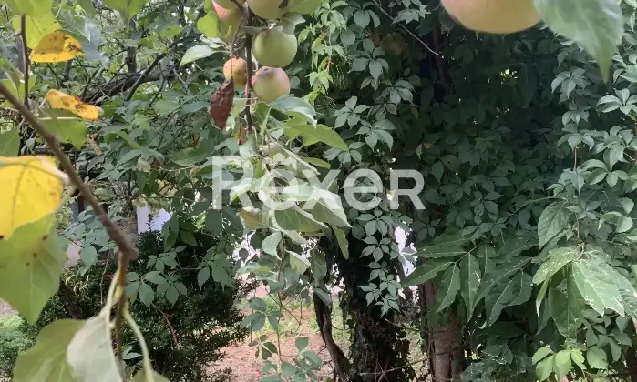 Rexer-San-Ginesio-Casale-indipendente-completamente-ristrutturato-con-giardino-e-ampio-terrazzo-San-Ginesio-MC-Giardino