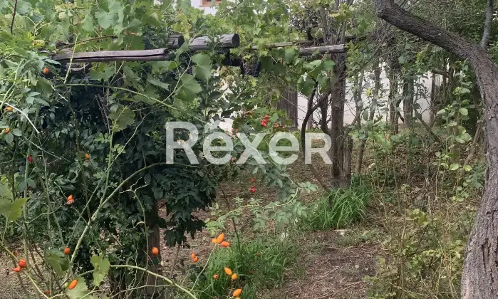 Rexer-San-Ginesio-Casale-indipendente-completamente-ristrutturato-con-giardino-e-ampio-terrazzo-San-Ginesio-MC-Giardino