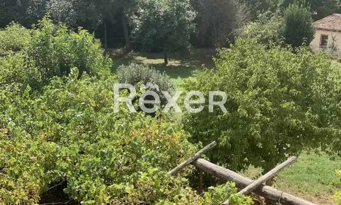 Rexer-San-Ginesio-Casale-indipendente-completamente-ristrutturato-con-giardino-e-ampio-terrazzo-San-Ginesio-MC-Ingresso