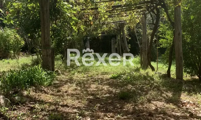 Rexer-San-Ginesio-Casale-indipendente-completamente-ristrutturato-con-giardino-e-ampio-terrazzo-San-Ginesio-MC-Giardino