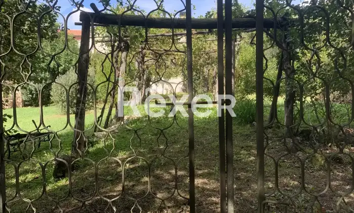 Rexer-San-Ginesio-Casale-indipendente-completamente-ristrutturato-con-giardino-e-ampio-terrazzo-San-Ginesio-MC-Giardino