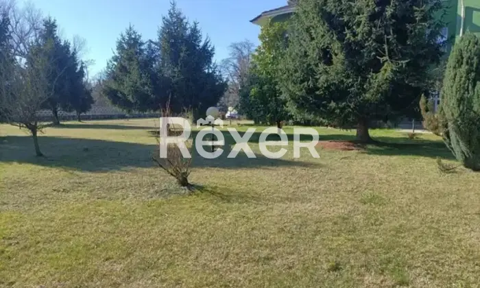 Rexer-Parona-Mansarda-in-vendia-in-Via-Fiordalisi-a-Parona-Altro