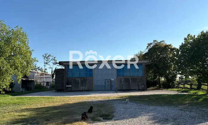 Rexer-Piove-di-Sacco-Ampia-casa-indipendente-con-terrazza-capannone-e-terreno-agricolo-Altro