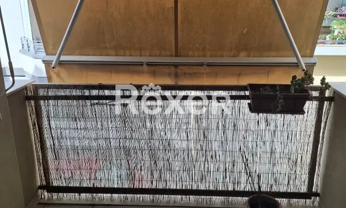 Rexer-Cagliari-Luminoso-appartamento-con-balconi-cantina-e-posto-auto-in-Via-Guglielmo-Pepe-Cagliari-Altro