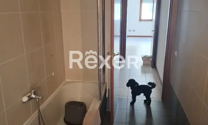 Rexer-Cagliari-Luminoso-appartamento-con-balconi-cantina-e-posto-auto-in-Via-Guglielmo-Pepe-Cagliari-Altro