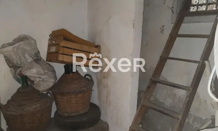 Rexer-Bisceglie-SOLUZIONE-IMMOBILIARE-DI-MQ-PIANO-TERRA-VIA-LANCELLOTTI-N-Altro