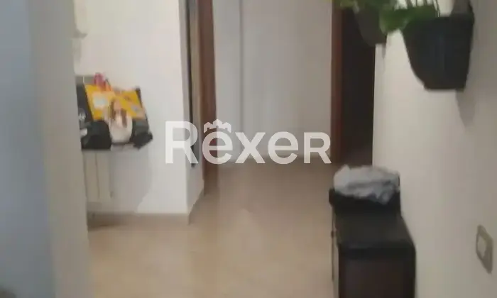 Rexer-Montecorvino-Rovella-Quadrilocale-ristrutturato-con-ampi-spazi-esterni-e-box-Via-Ponte-Mileo-Montecorvino-Rovella-SA-Altro