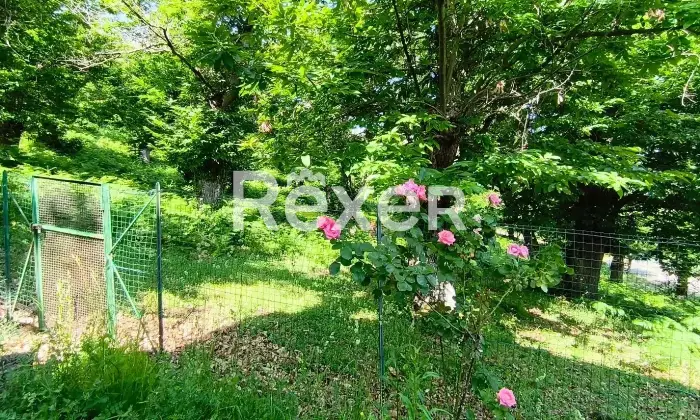 Rexer-Roccadaspide-Propriet-rustica-in-vendita-in-Via-dei-Castagneti-a-Roccadaspide-Altro