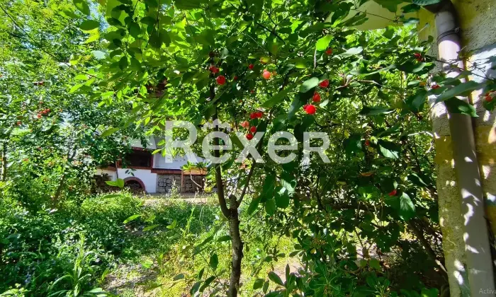 Rexer-Roccadaspide-Propriet-rustica-in-vendita-in-Via-dei-Castagneti-a-Roccadaspide-Altro