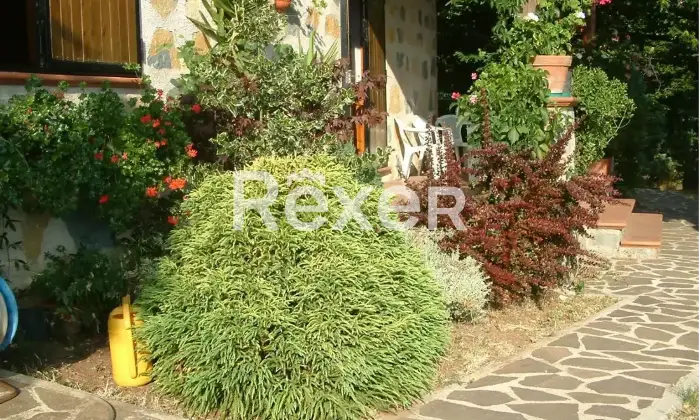 Rexer-Roccadaspide-Propriet-rustica-in-vendita-in-Via-dei-Castagneti-a-Roccadaspide-Altro