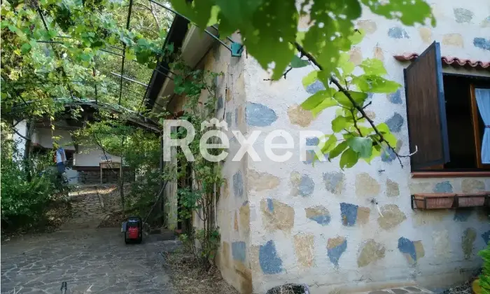 Rexer-Roccadaspide-Propriet-rustica-in-vendita-in-Via-dei-Castagneti-a-Roccadaspide-Altro