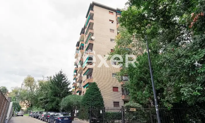 Rexer-Milano-PIAZZA-CARRARA-Altro
