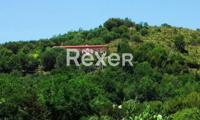 Rexer-Centola-Casa-indipendente-in-vendita-in-Via-SantAgata-Nord-a-Centola-Altro