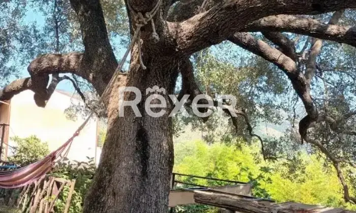 Rexer-Centola-Casa-indipendente-in-vendita-in-Via-SantAgata-Nord-a-Centola-Altro