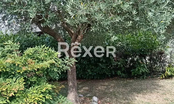 Rexer-Lusia-Casa-indipendente-in-vendita-in-Via-Saline-a-Lusia-Altro