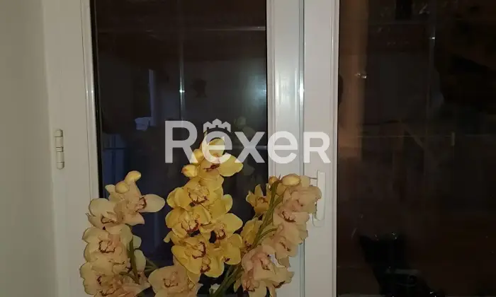 Rexer-Capri-Appartamento-in-vendita-in-Via-Dentecala-a-Capri-Altro
