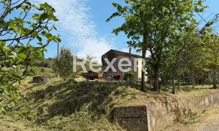 Rexer-Pietravairano-Casa-da-ristrutturare-con-mq-di-uliveto-e-mq-di-terreno-Pietravairano-CE-Altro