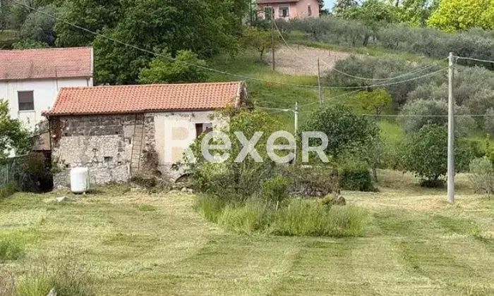 Rexer-Pietravairano-Casa-da-ristrutturare-con-mq-di-uliveto-e-mq-di-terreno-Pietravairano-CE-Altro