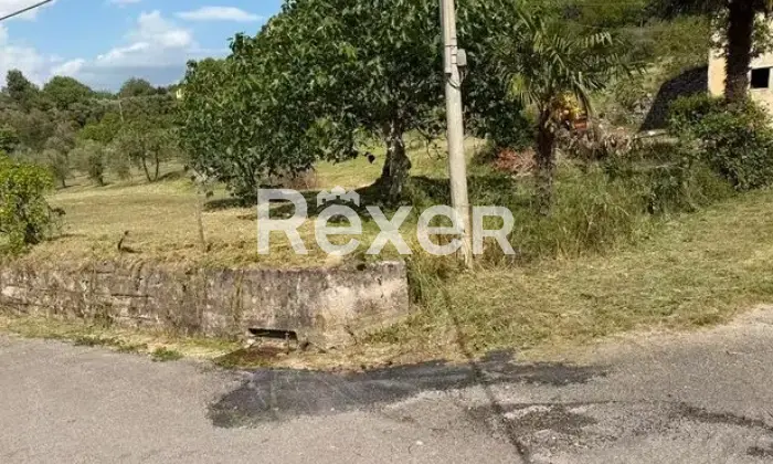 Rexer-Pietravairano-Casa-da-ristrutturare-con-mq-di-uliveto-e-mq-di-terreno-Pietravairano-CE-Altro
