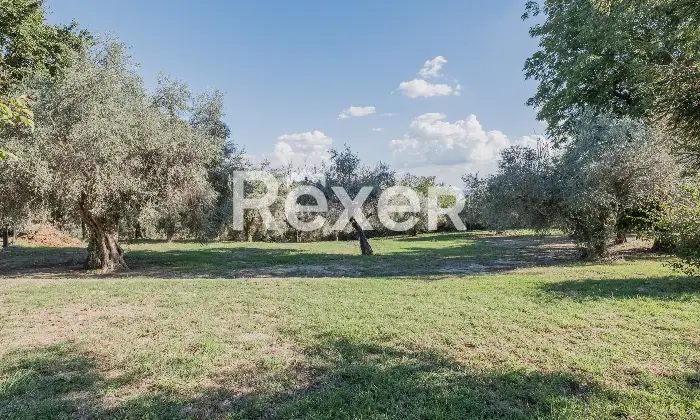 Rexer-Roma-Villa-Unifamiliare-con-terreno-Altro