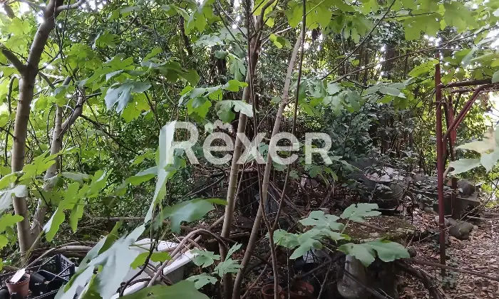 Rexer-Piadena-Drizzona-Albergo-in-vendita-in-Via-della-Libert-a-Piadena-Drizzona-Altro