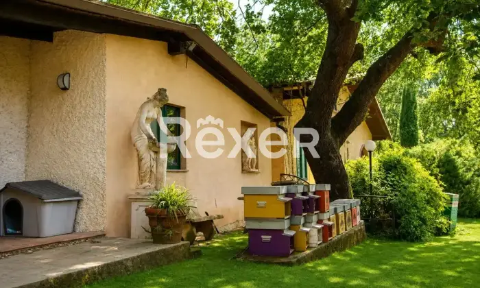 Rexer-Castrovillari-Propriet-rustica-in-vendita-in-Contrada-Archidero-Castrovillari-Altro