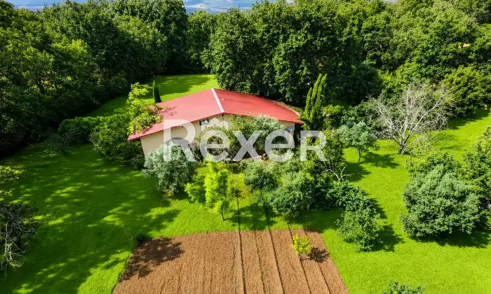 Rexer-Castrovillari-Propriet-rustica-in-vendita-in-Contrada-Archidero-Castrovillari-Altro
