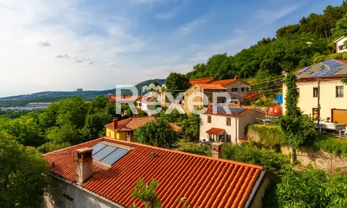 Rexer-San-Dorligo-della-ValleDolina-Edificio-in-vendita-in-Localit-Dolina-a-San-Dorligo-della-ValleDolina-Altro