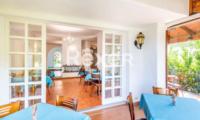 Rexer-Forio-VILLA-IMMERSA-NEL-VERDE-IN-VENDITA-A-FORIO-ISOLA-DISCHIA-Altro
